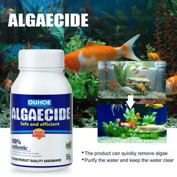 חומר ניקוי רב תכליתי אצות מניעת Algaecide יעיל לניקוי אקווריום להסרת אצות באקווריום מוס מסיר מטהר